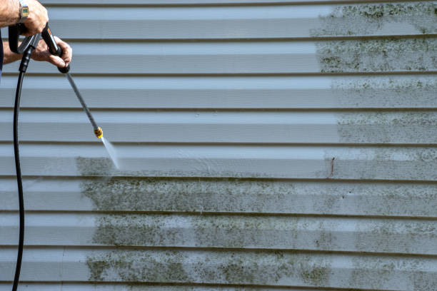 Best Same-Day Junk Removal Services  in Utica, IN
